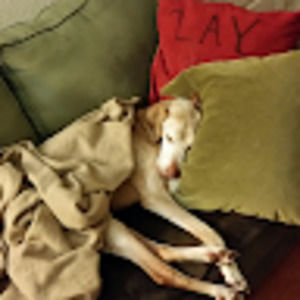 Clothes. Shoes. Style.